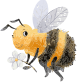Lächelnde Biene mit Blume in der Hand – Gutscheinmotiv Happy Bees